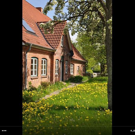 Landhaus Hohenfelde Hohenfelde  المظهر الخارجي الصورة
