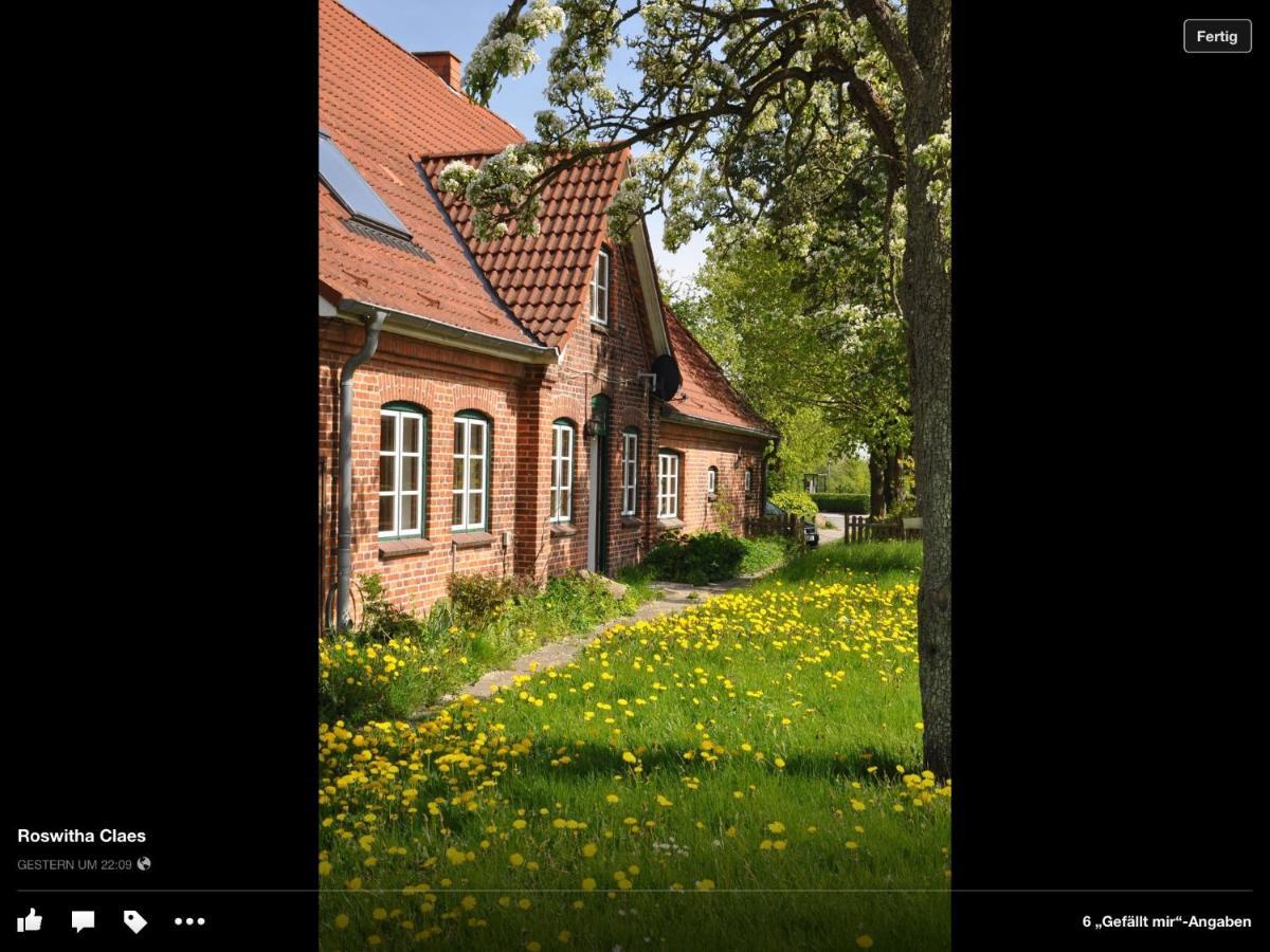 Landhaus Hohenfelde Hohenfelde  المظهر الخارجي الصورة